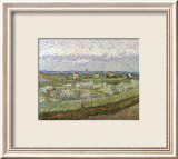 Orchard Póster por Vincent van Gogh