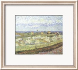 Pêcher en fleurs, Arles 1888 Affiches par Vincent van Gogh