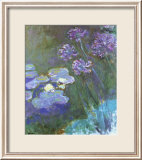 Water Lilies and Agapanthus Pósters por Claude Monet