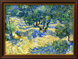 Olivenbäume Gerahmter Giclée-Druck von Vincent van Gogh