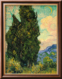 Cypresses, c.1889 Framed Giclee Print by Vincent van Gogh