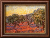 Olivar Arte por Vincent van Gogh
