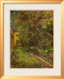 The Garden of Saint-Paul Hospital Pósters por Vincent van Gogh