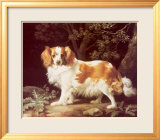King Charles Spaniel Láminas por George Stubbs