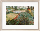 Field of Poppies, Saint-Remy, c.1889 Láminas por Vincent van Gogh Field of Poppies, Saint-Remy, c.1889 Láminas por Vincent van Gogh