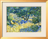 Olivenbäume Gerahmter Giclée-Druck von Vincent van Gogh