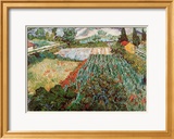 Field of Poppies, Saint-Remy, c.1889 Póster por Vincent van Gogh Field of Poppies, Saint-Remy, c.1889 Póster por Vincent van Gogh