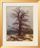 Oak in the Snow Estampe encadrée par Caspar David Friedrich