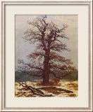 Caspar David Friedrich - Oak in the Snow - Çerçeveli Giclee Baskı Caspar David Friedrich - Oak in the Snow - Çerçeveli Giclee Baskı