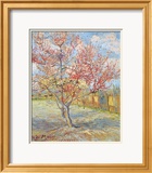 Melocotonero en flor Lámina giclée enmarcada por Vincent van Gogh