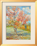 Melocotonero en flor Lámina giclée enmarcada por Vincent van Gogh
