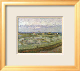 Orchard Láminas por Vincent van Gogh