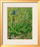Les Iris Posters par Vincent van Gogh