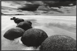 Boulders on the Beach Photo