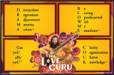 Love Guru Posters