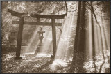 Torii Shrine Posters