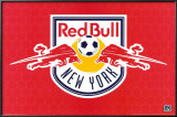Red Bull New York Photo