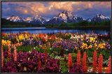 Grand Teton Prints