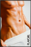 Playgirl Póster Playgirl Póster
