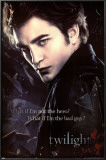 Twilight Posters