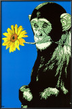 Monkey With Flower Posters