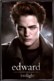 Twilight Posters