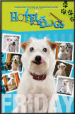 Hotel for Dogs Prints