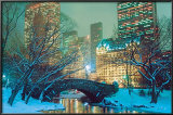 Central Park Prints