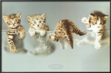 Hobby, Mindy, Tyson & KC Prints by Rachael Hale