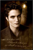 Twilight - New Moon Photo