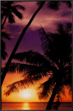 Day's End Print by Doug Cavanaugh