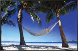 Paradise In The Tropics Poster