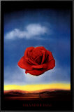 The Rose Prints by Salvador Dalí