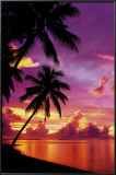 Tahitian Sunset Posters