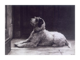 Waiting For Master Prints by Herbert Dicksee