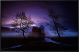 In Dreams Posters