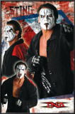 TNA- Sting Prints