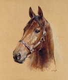 Legend (Best Mate) Limited Edition by Susan Crawford