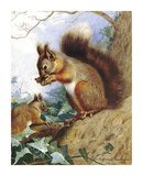 Squirrels in a Tree Pósters por Archibald Thorburn Squirrels in a Tree Pósters por Archibald Thorburn