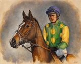 Kauto Star Limited Edition by Sarah Aspinall