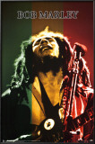 Bob Marley Posters