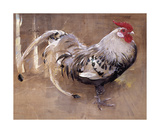 The Spangled Cock Reproduction procédé giclée Premium par Joseph Crawhall