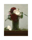 Memoire Des Roses II Edycja limitowana autor Paul Seaton