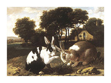 Two Rabbits In A Landscape Premium Giclee Print by 17th Century Haarlem School 