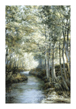 Silver Birches by a Stream Premium Giclee Print by Montague Dawson