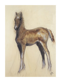 The Foal Premium Giclee Print by Philip Blacker