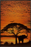 African Skies Photo