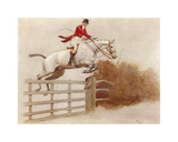 Timber Topper Lámina por Cecil Aldin