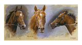 Nashwan and Swain Affiche par Susan Crawford