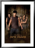 Twilight - Luna nueva Pósters